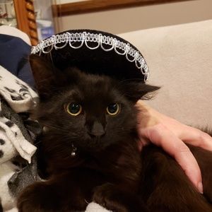 Meet your Posher, Angela